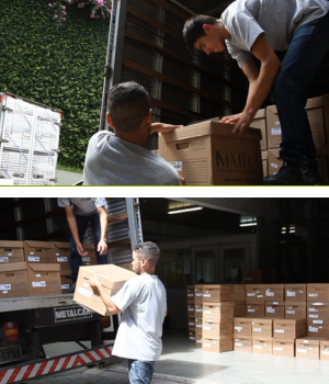 guarda de documentos