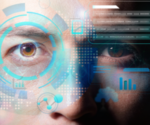 organização e identificação